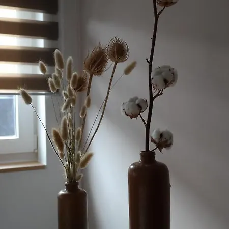 The Rooftop - A Trendy New With Airconditioning, Large Terrace & Free Parking * Ostende