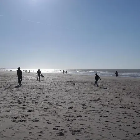 Daire The Rooftop - A Trendy New With Airconditioning, Large Terrace & Free Parking Oostende